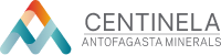 Logo CENTINELA
